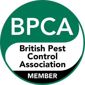 bpca